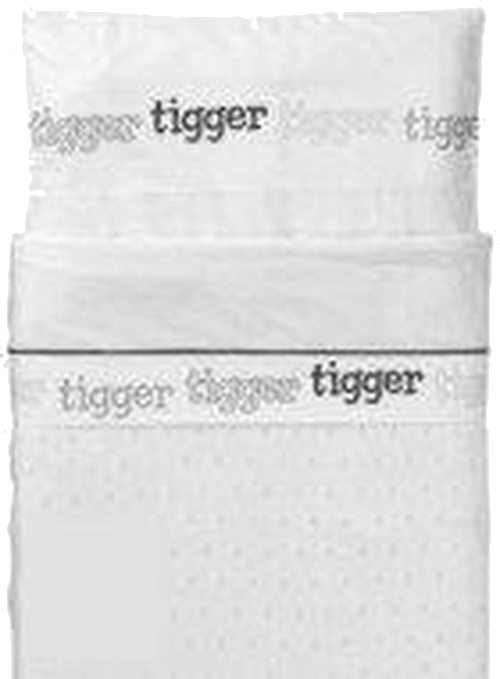 foto van Lakentje - Disney Tigger