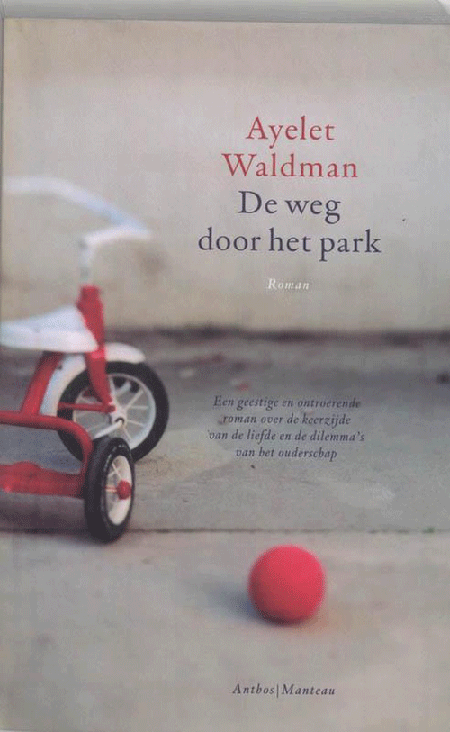foto van BOEK - De weg door het park