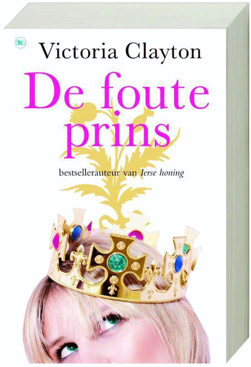 foto van BOEK - De foute prins