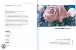 foto 7 BOEK afbeelding  BOEKEN