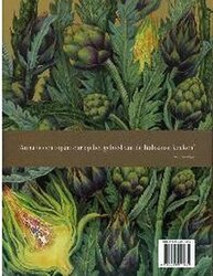 foto 2 BOEK afbeelding  BOEKEN