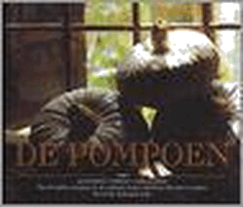 foto van BOEK - De pompoen