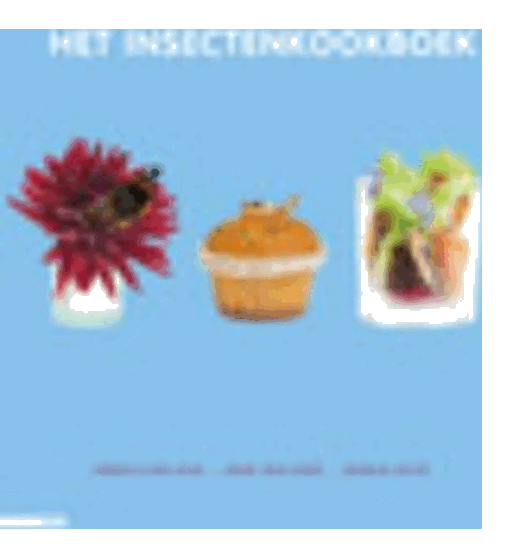 foto van Het insectenkookboek