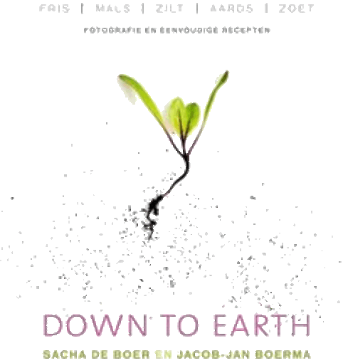 foto van Down to earth